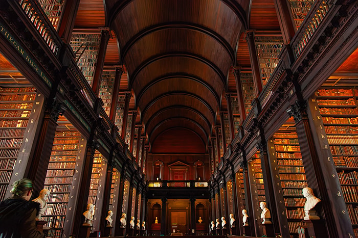 The Long Room at Trinity College Dublin, a barrel-vaulted library lined with dark wooden shelves of antique books and marble busts, with a visitor viewed from behind in the foreground.